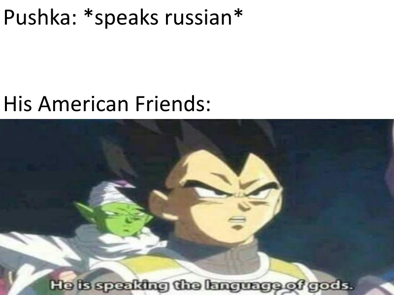 PUSHKIMEMEXIIII
